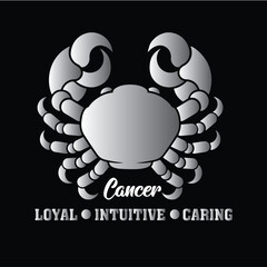 Capricorn Ambitious Zodiac Graphic