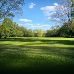 Naklejka premium Lush green park lawn, sunny day, tree backdrop, serene nature scene