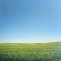 Fototapeta premium Vast green field under a clear blue sky; idyllic rural landscape, perfect for travel brochures