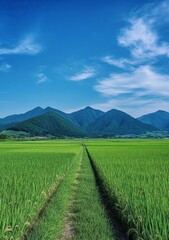 Fototapeta premium beautiful view of grassy mountain with blue sky in the background, there is an abandoned trail on top of it and some people walking around. 