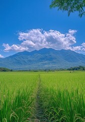 Fototapeta premium beautiful view of grassy mountain with blue sky in the background, there is an abandoned trail on top of it and some people walking around. 