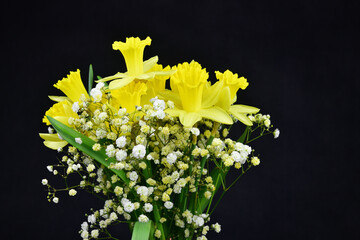 A nice bouquet of yellow daffodils, tiny white flowers 
and large green leaves.
