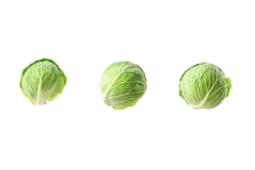 cabbage falling on a white  background 