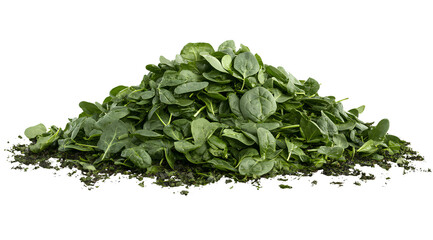 Fototapeta premium A pile of fresh spinach isolated on a transparent background, PNG