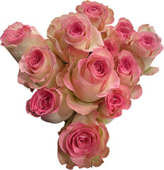 bouquet of pink roses png cutout