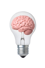Human brain inside a light bulb representing the power of thinking