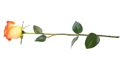 A single red rose with green leaves, perfect for expressing love and romance, isolated on a white background as transparent PNG.AI GENERATED