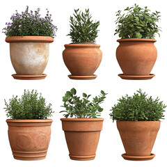 Clay Planters Transparent White Background