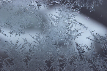 The photo captures delicate and intricate snowflakes, each uniquely crafted with its geometric patterns. They gently settle on a pristine blanket of soft snow, evoking a sense of fragility and purity.