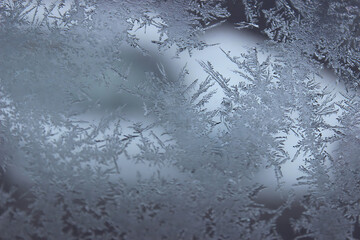 The photo captures delicate and intricate snowflakes, each uniquely crafted with its geometric...