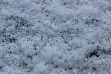 The photo captures delicate and intricate snowflakes, each uniquely crafted with its geometric patterns. They gently settle on a pristine blanket of soft snow, evoking a sense of fragility and purity.