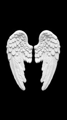 A pair of isolated, intricately detailed white angel wings set against a black background, creating a cinematic and natural look.