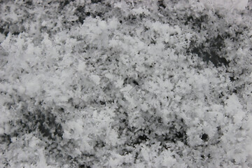 The photo captures delicate and intricate snowflakes, each uniquely crafted with its geometric patterns. They gently settle on a pristine blanket of soft snow, evoking a sense of fragility and purity.