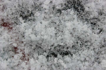 The photo captures delicate and intricate snowflakes, each uniquely crafted with its geometric patterns. They gently settle on a pristine blanket of soft snow, evoking a sense of fragility and purity.