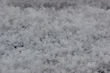 The photo captures delicate and intricate snowflakes, each uniquely crafted with its geometric patterns. They gently settle on a pristine blanket of soft snow, evoking a sense of fragility and purity.