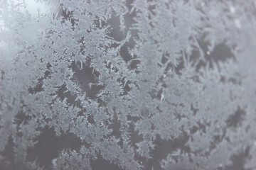 The photo captures delicate and intricate snowflakes, each uniquely crafted with its geometric patterns. They gently settle on a pristine blanket of soft snow, evoking a sense of fragility and purity.