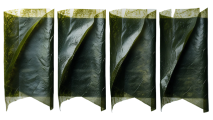 Nori isolated on transparent background