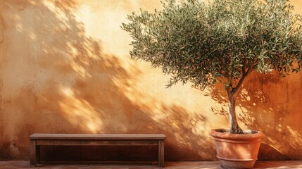 A large olive tree in a terracotta pot next to a long wooden bench, surrounded by warm golden light and soft natural shadows.