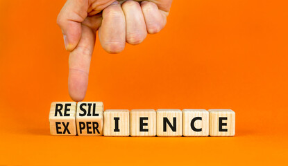 Resilience or experience symbol. Concept words Resilience Experience on beautiful wooden blocks. Beautiful orange background. Businessman hand. Business resilience or experience concept. Copy space