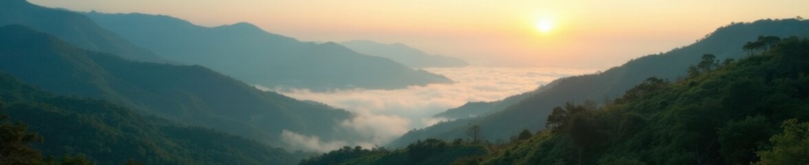 Obraz premium Early morning mist in the hills of Favela Cantagalo, serene, favela, natural