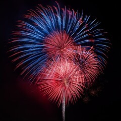 Fototapeta premium Red and Blue white Fireworks on Black background light image
