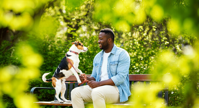 Africa American man in park shaking hands with beagle on bench amongst lush greenery
