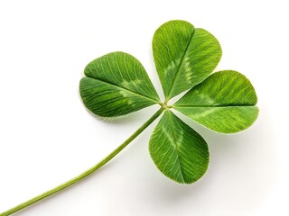 Four leaf clover symbolizing luck and good fortune found in natural setting