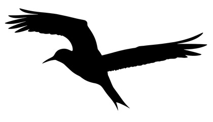 Fototapeta premium Elegant Black Bird Silhouette in Flight Wings Spread Graphic Design Element Vector Illustration Perfect for Logo Nature Wildlife 
