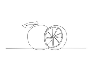 Continuous one line drawing of fresh orange fruit. Orange fruit in single line draw illustration. Editable stroke.