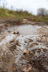 First ice over wet soil with fallen leaves 