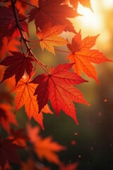 Obraz premium Sunlit maple branch displays fiery autumn leaves , scenic, yellow