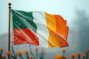 Irish flag waving in the wind