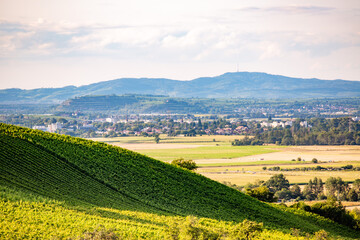 Fototapeta premium Kaiserstuhlblick von der Schleifsteinstrauße