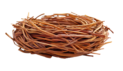 birds nest isolated isolated on white background PNG.AI GENERATED
