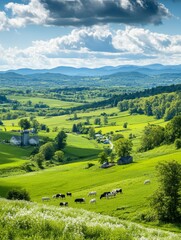 Breathtaking green landscape with grazing cattle in the hills of rural countryside during a sunny day