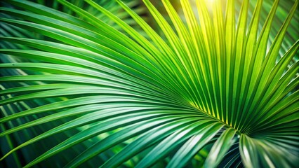 Palm Leaf Corner Frame: Tropical Summer Background Stock Photo