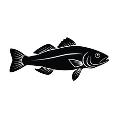 fish isolated on white background 