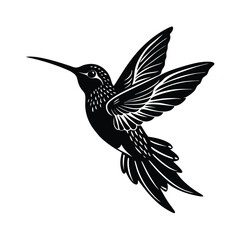hummingbird in flight vector image illustration and artwork silhouette on white background