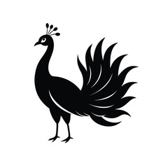 Obraz premium peacock vector image illustration and artwork silhouette on white background