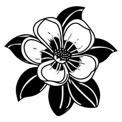 white flower isolated on black