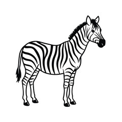 Obraz premium Zebra vector design on white background
