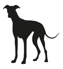 Silhouette of a Greyhound Dog in Profile