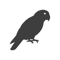 Modern Black and White Cockatoo Design