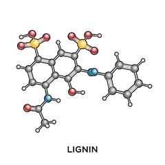Lignin Ball and Stick Molecule