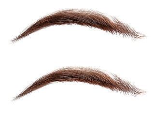 Isolated Brown Eyebrows Pair