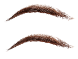 Isolated Brown Eyebrows Pair