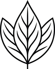Beautiful Leaf silhouette vector illustration, Leaf line art, Leaf isolated vector icon