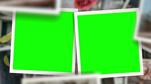 Polaroid Green Screen, Green screen Photo Frame, empty frame Green screen background 