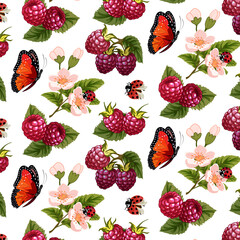 White background with berries and butterflies.Ripe raspberries, butterflies and ladybugs on a transparent background in a vector pattern.