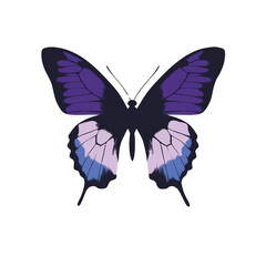 A stylized image showcases a purple and blue butterfly with detailed wing patterns against a black background.